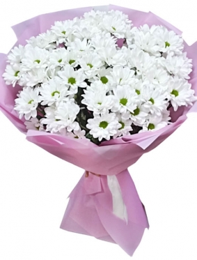 Сamomiles? No, Its Chrysanthemums!