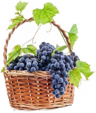 Корзина винограда  -  Выберите вес