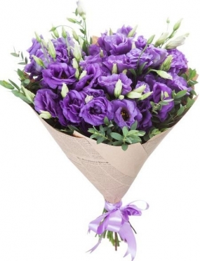 Eustoma - The Violet Luxury