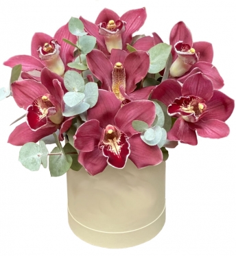 Orchids Box, options from 5 to 15