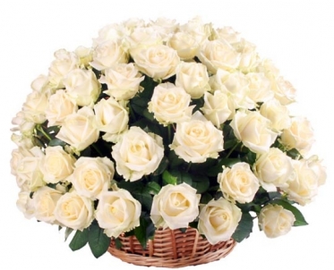 25-101 White Classic Roses Basket