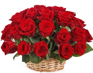25-151 Red Classic Roses Basket