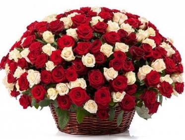 25-151: кошик червоних та бiлих класичних троянд
