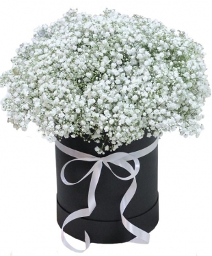 Gypsophila White, a Box Arrangement