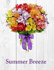 Summer Breeze
