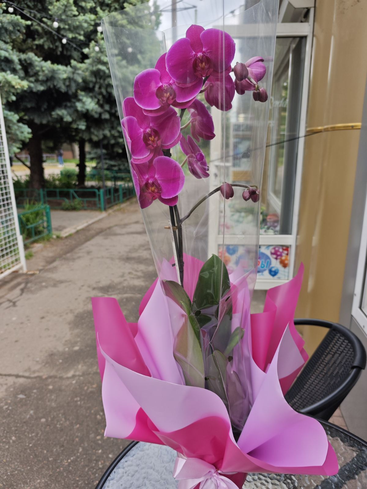 Delivery Photo