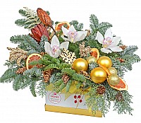 Снігові Орхідеї image 0