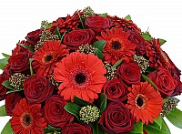 Roses and Gerberas image 0