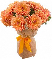 The Royal Dahlias image 0