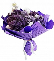 Lilac image 0