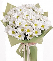 Сamomiles? No, Its Chrysanthemums! image 1