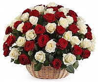 25-151 White-Red Classic Roses Basket image 0