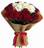 Red and White Roses image 0