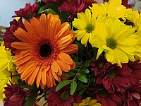 Fall Pumpkin Arrangement image 0